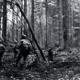 110th Infantry Regiment, 28th Infantry Division Moves Through the Hürtgen Forest near Vossenack, Germany