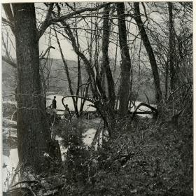 The Tangled Battlefield of the Wilderness