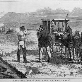 Shooting Buffaloes from an Ambulance En Route to Fort Griffin, Texas