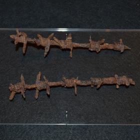 Barbed Wire
