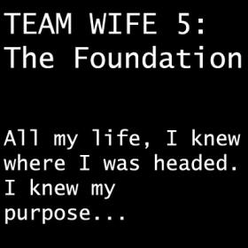TEAM WIFE 5: The Foundation