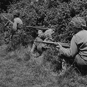 American Soldiers Seek Cover from German Snipers in the Norman Hedgerows