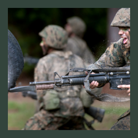 Cold Steel: The Evolution of the Bayonet